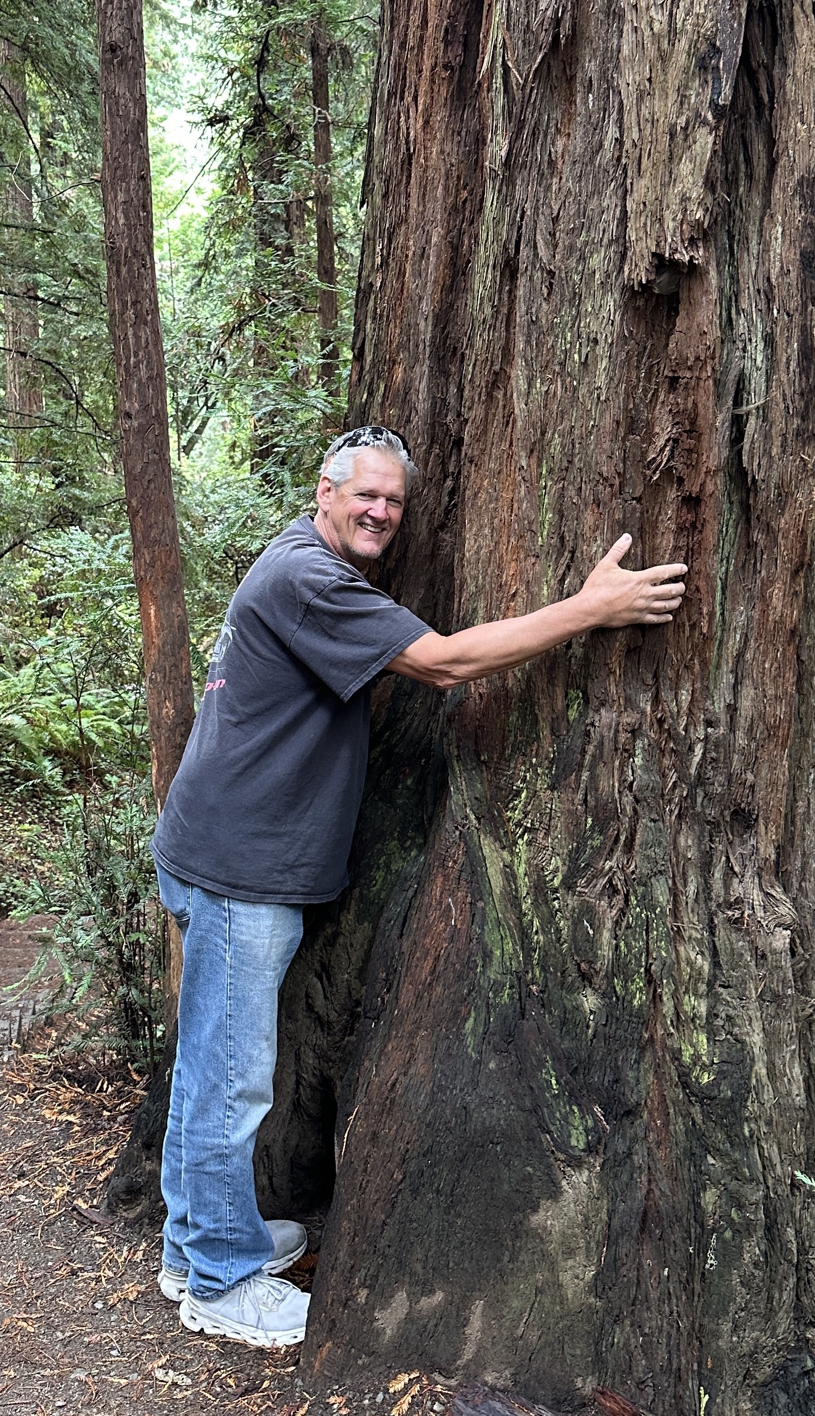 Dan hugging a tree - committed to environmental responsibility